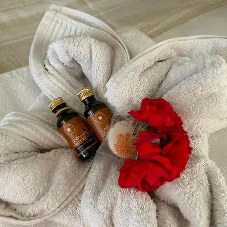 公寓 Le Saint Clair 塞特港