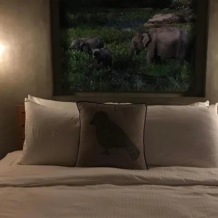 Le Saint Clair * Sète